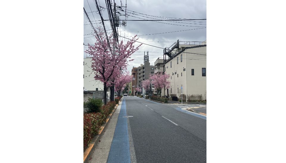 周辺道路